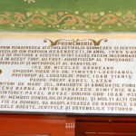 IMG_7776 (Custom)